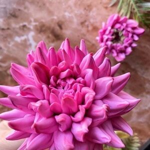 3D Flower Silicone mold